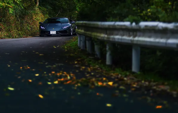 Дорога, осень, лес, Lamborghini Huracán