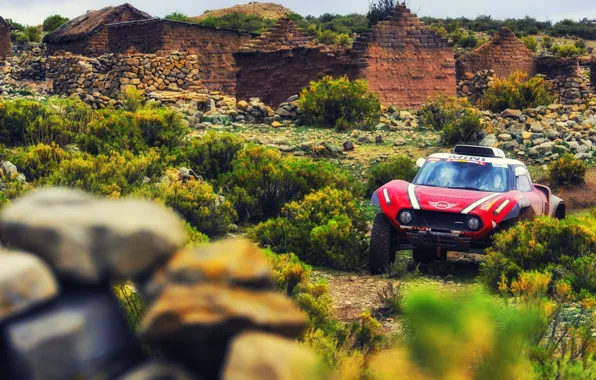 Mini, Скорость, Rally, Dakar, Дакар, Ралли, Buggy, Багги