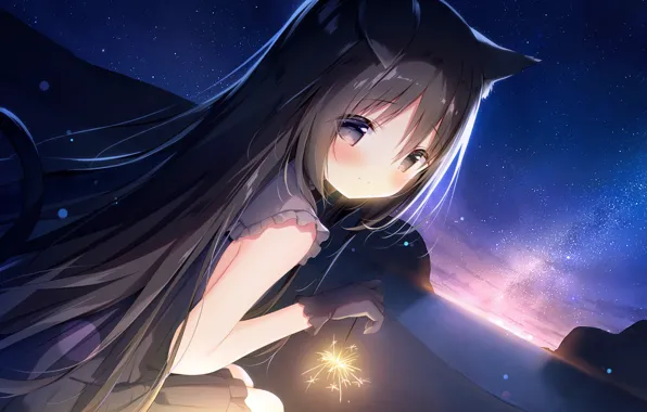 Кошка, девушка, ночь, бенгальский огонь, Noir, Hoshizora Tetsudou to Shiro no Tabi