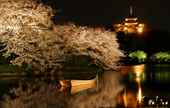 Деревья, ночь, озеро, лодка, весна, сакура, подсветка, цветущие