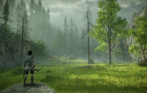 Лес, трава, луг, Shadow of the Colossus, В тени колосса
