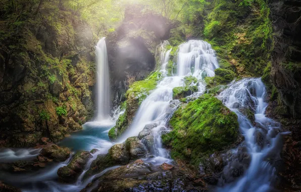Лес, водопад, поток