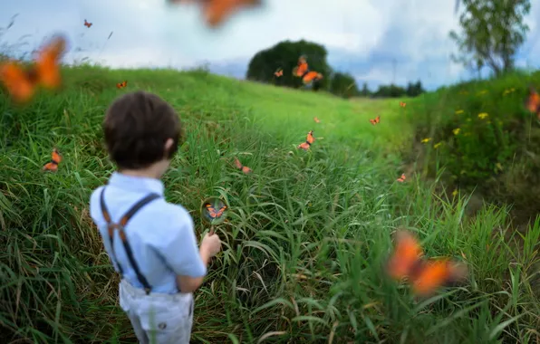Бабочки, мальчик, юный натуралист, Austin Tott
