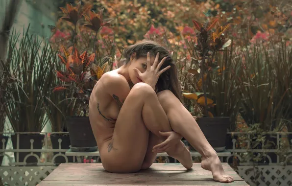 Девушка, поза, тело