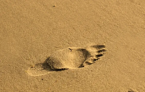 Beach, sand, foot, trace