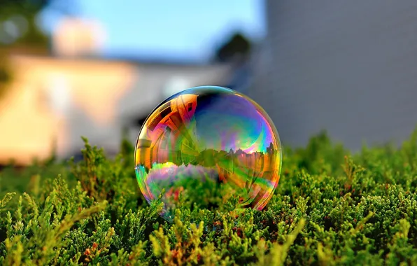 Картинка green, grass, photo, macro, color, reflection, Bubble, soap bubble