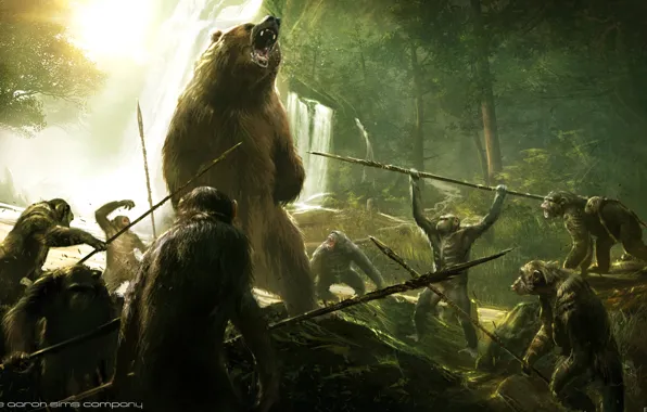 Картинка медведь, охота, Планета обезьян: Революция, Dawn of the Planet of the Apes