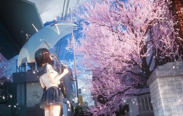 School uniform, sky, trees, umbrella, zettai ryouiki, flowers, clouds, women