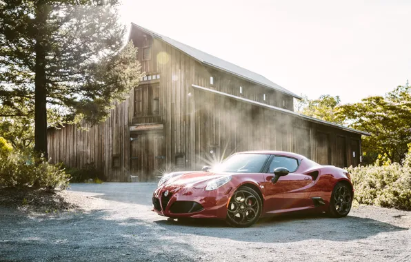 Лес, сарай, Alfa Romeo, Launch Edition, 2015