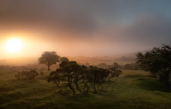 Картинка туман, восход, Англия, Корнуолл