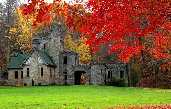 Trees, autumn, castle, architecture, building