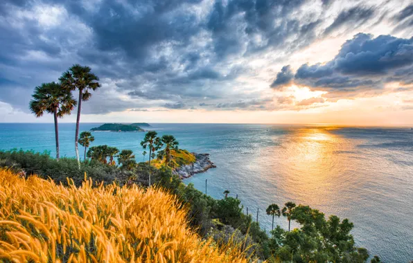 Восход, пальмы, океан, рассвет, побережье, Таиланд, Phuket, Thailand
