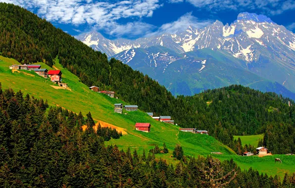 Turkey, rize, çamlıhemşin, pokut yaylası