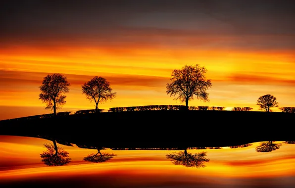 Картинка деревья, пейзаж, закат, Reflections