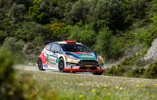 Rally, ford fiesta r5, castrol ford team turkey
