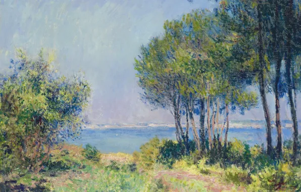 Картинка пейзаж, картина, Клод Моне, Пихты в Варанжевиле