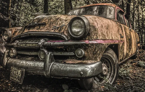 Abandoned, decay, natural light, Let's Rock 'n Roll