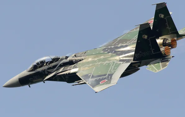 Полет, истребитель, Mitsubishi, пилоты, ВВС Японии, F-15DJ