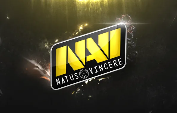 Картинка wallpaper, dota 2, navi, natus vincere, team navi