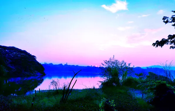 Sky, Grass, Birds, Sun, Water, Dawn, Morning, Lake