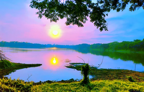 Sun, Water, Sunrise, Dawn, Morning, Lake, Trees, Reflection