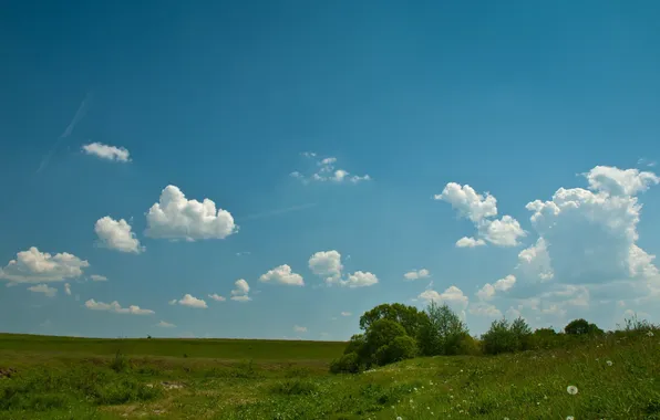 Картинка поле, облака, Небо, весна