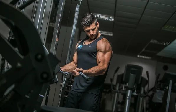 Power, muscles, bodybuilder
