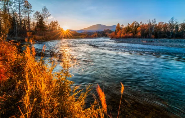 River, sunset, water, foliage