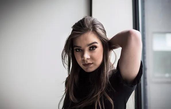 Взгляд, поза, портрет, актриса, окно, шатенка, красотка, Hailee Steinfeld