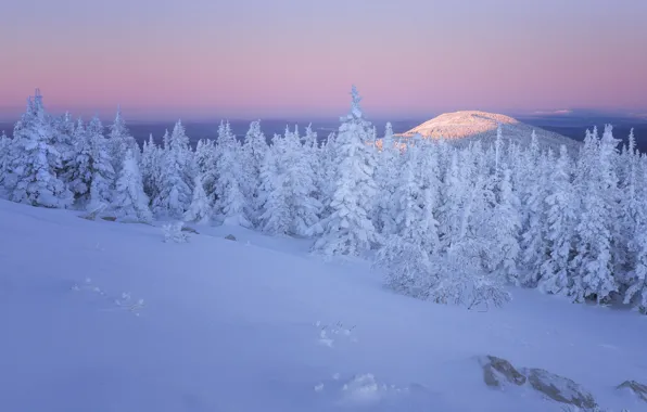 Зима, иней, лес, снег, горы, камни, рассвет, в снегу