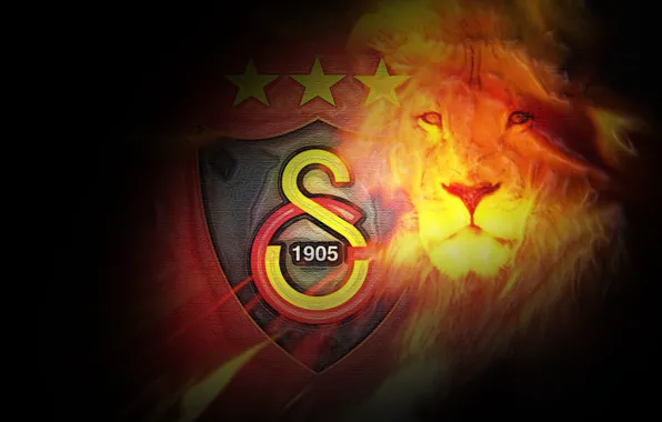 Wallpaper, sport, logo, football, Galatasaray