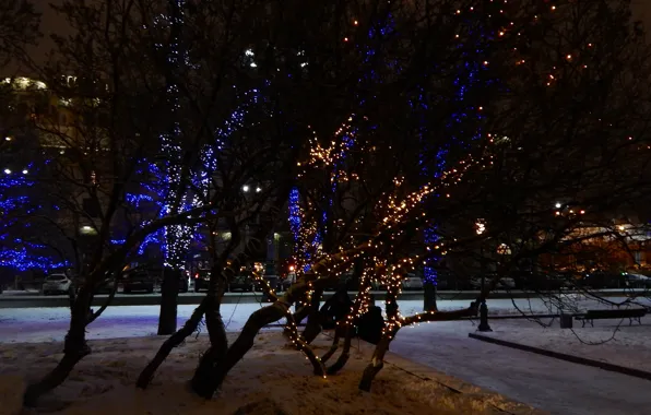 Деревья, ночь, огни, красиво, Москва, Красная площадь, гирлянда