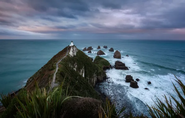Картинка дорога, пейзаж, природа, океан, маяк, Новая Зеландия, Nugget Point, Наггет Пойнт