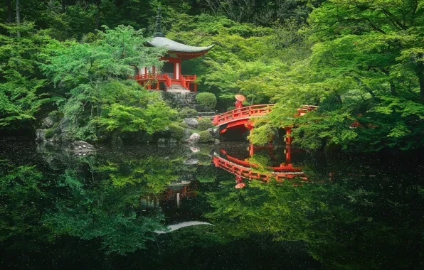 Картинка озеро, человек, зонт, Весна, Япония, пагода, мостик