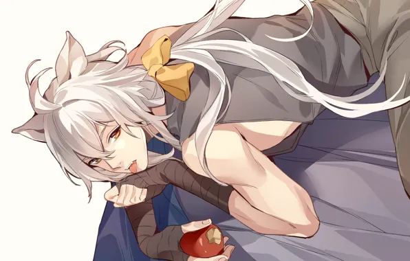 Яблоко, котик, парень, Touken Ranbu, Танец Мечей