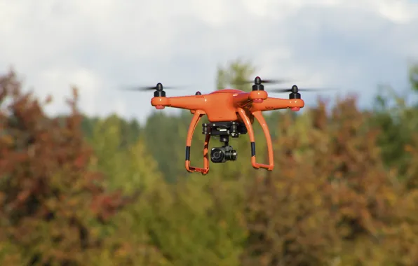 Vegetation, technology, drone, Autel X-Star Premium