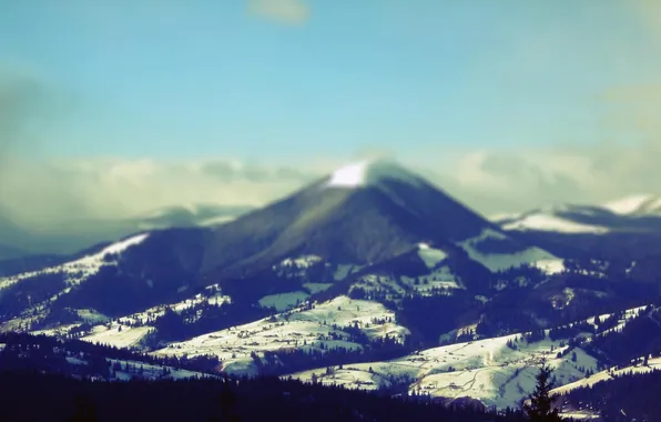 Картинка лес, небо, снег, горы