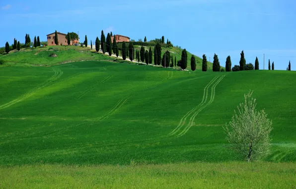 Картинка небо, трава, деревья, холмы, дома, Италия, Тоскана