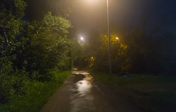 Лето, деревья, ночь, освещение, фонари, Россия, тропинка, июль