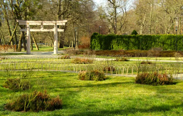 Grass, park, garden