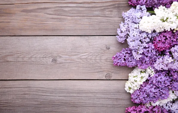 Цветы, фон, wood, flowers, сирень, purple, lilac