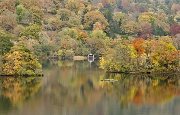 Картинка осень, деревья, озеро, дом, холмы
