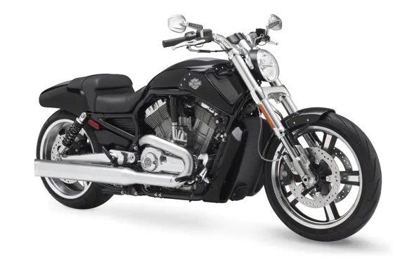 Мотоцикл, Harley Davidson, байк, bike, motorcycle, white background, Харли Дэвидсон, фон белый