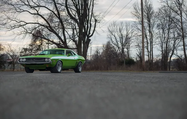 Challenger, Green, 1970, Road, R/T, Trees