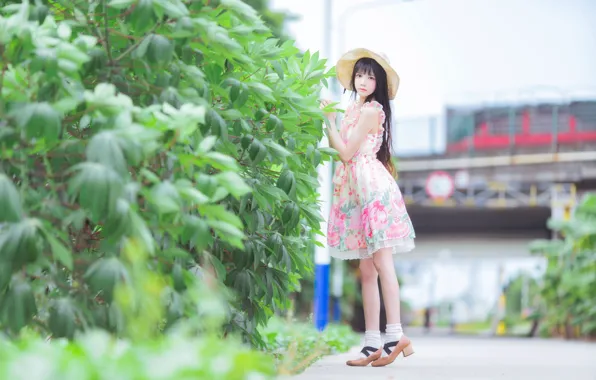 Asian, Model, pretty, Woman, Hat, Outdoor, BeautIful, Long Shot