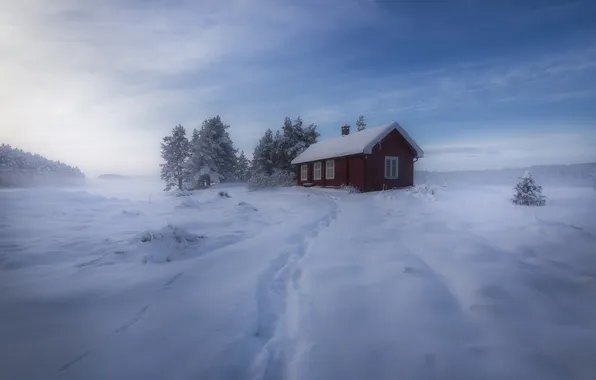Картинка зима, снег, деревья, Норвегия, домик