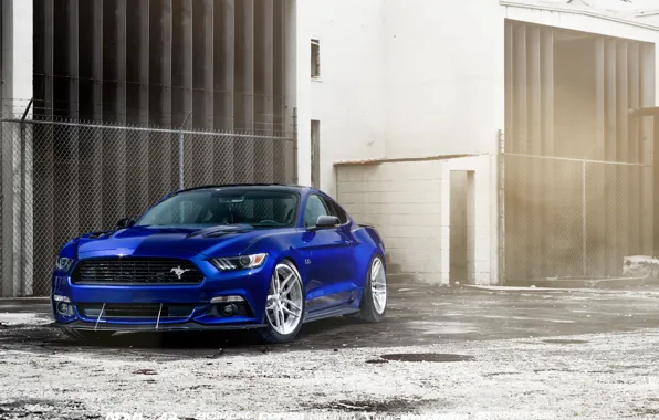 Car, Ford Mustang, blue, William Stern