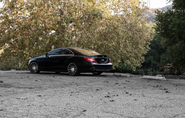 Black, Mercedes Benz, CLS550