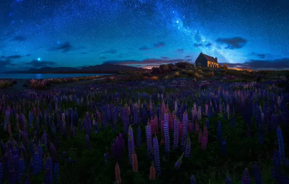 Картинка лето, небо, цветы, ночь, весна, Новая Зеландия, церковь, храм