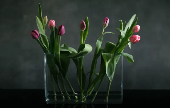 Фон, тюльпаны, ваза, бутоны